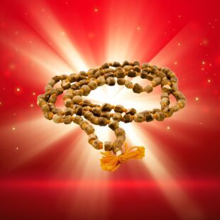 Sacred Harmony: Tulsi Mala - 108 Beads